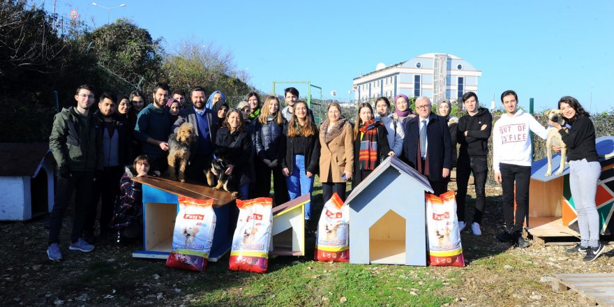 Sokak hayvanlarına yardım eli