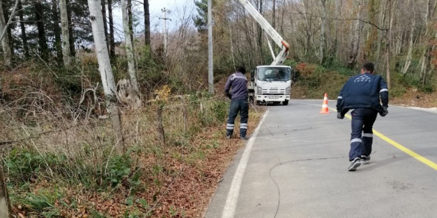 SEDAŞ çalışmalarını sürdürdü