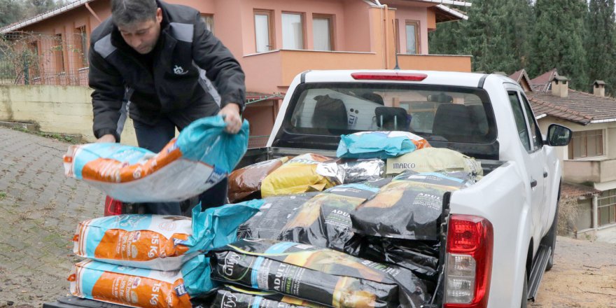 Büyükşehir’den STK’lara mama desteği