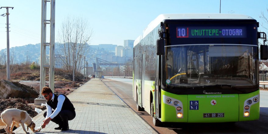 Hayvan dostu otobüsler yollarda