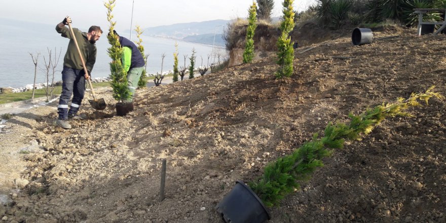 Sahil yeşile bürünüyor