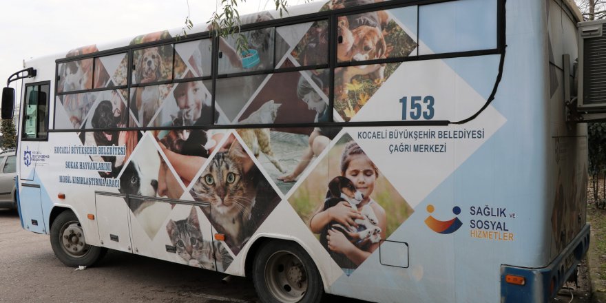 Mobil araç sokak hayvanlarının hizmetinde