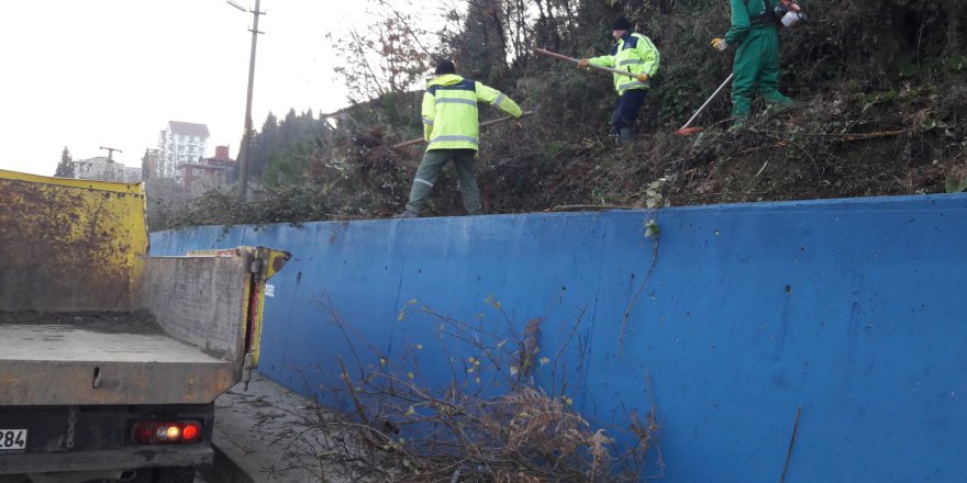 Dikenle kaplıydı, yeşil alana büründü