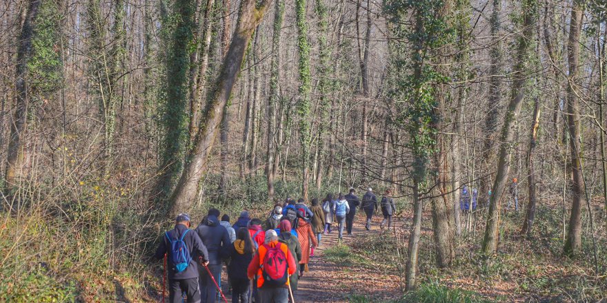 Avrupa’dan Ormanya’ya ilgi yoğun