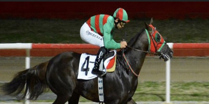 Vali Kupası Memduhağa’nın