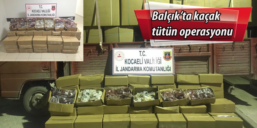 Balçık’ta kaçak tütün operasyonu