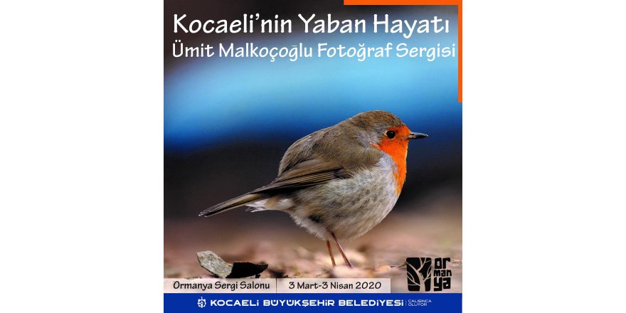 Malkoçoğlu fotoğraflarını sergileyecek