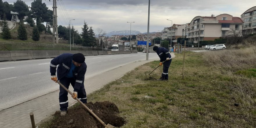 Kavşakta çevre düzenlemesi