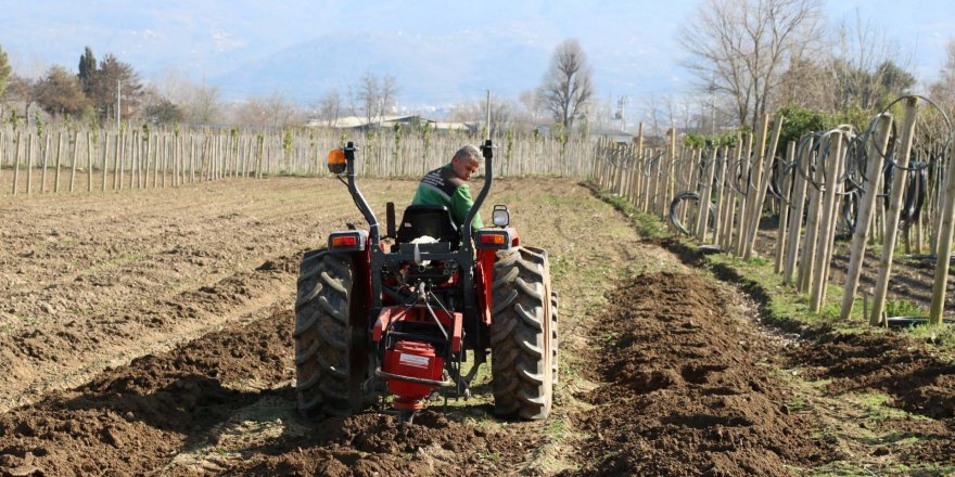 Üretim fidanlığında 60 bin fidan var