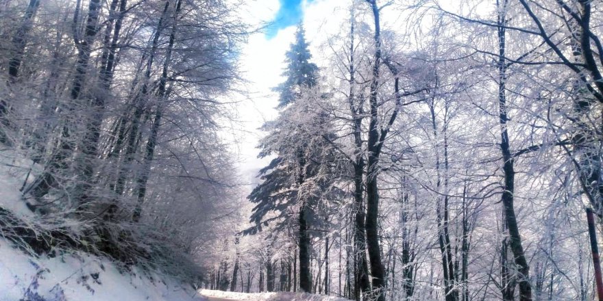 Kartepe'de kar kalınlığı 66 santimetre ölçüldü