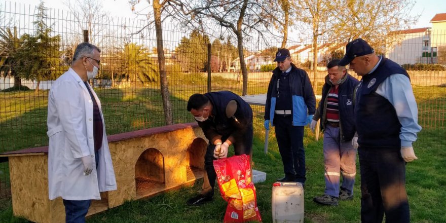 Sokak hayvanlarını unutmadılar