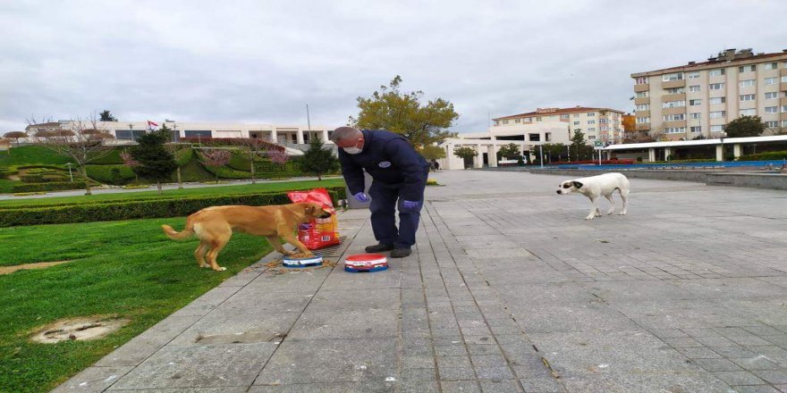 Sokak hayvanları unutulmadı
