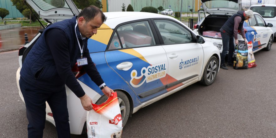 Büyükşehir ekipleri, sokak hayvanları için mama gezdiriyor