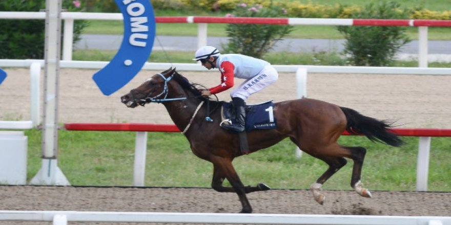 Korona atları da vurdu !..