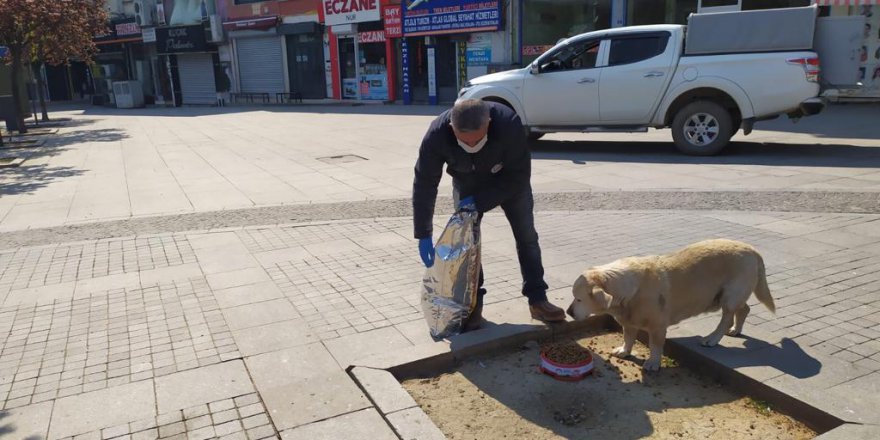 Gebze’de Ekipler Teyakkuzda