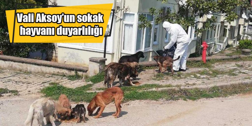 Vali Aksoy’un sokak hayvanı duyarlılığı