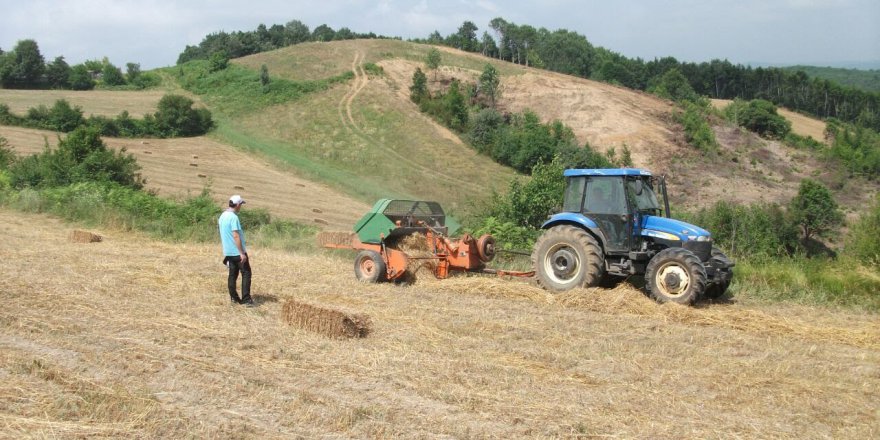 Çiftçilere yüzde 50 hibeli tohum desteği