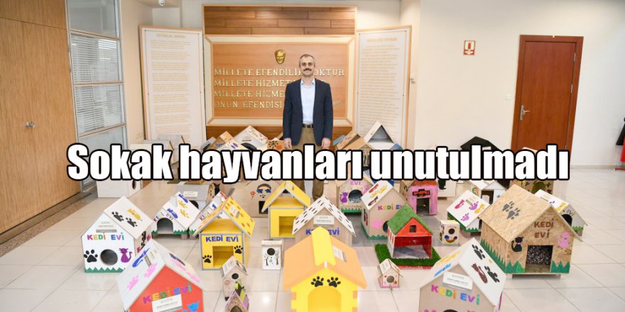 Sokak hayvanları unutulmadı