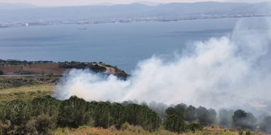 Gebze'de orman yangını