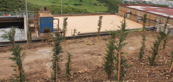 İZAYDAŞ’ta yeni tesise yeni fidanlar