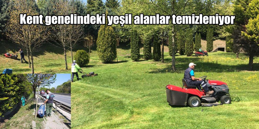 Kent genelindeki yeşil alanlar temizleniyor