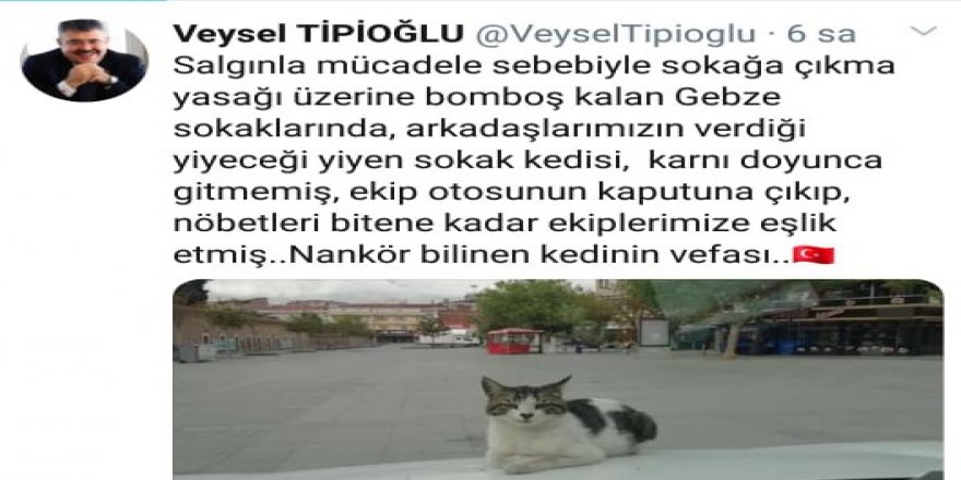 Emniyet Müdürü’nden kedili paylaşım