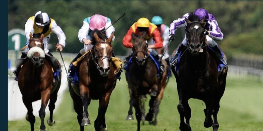 At yarışları 1 ay sonra başlıyor