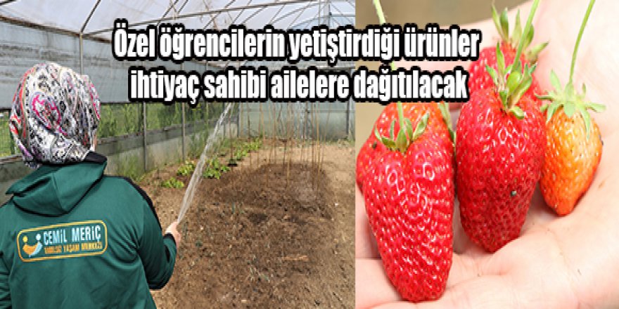 Özel öğrencilerin yetiştirdiği ürünler ihtiyaç sahibi ailelere dağıtılacak