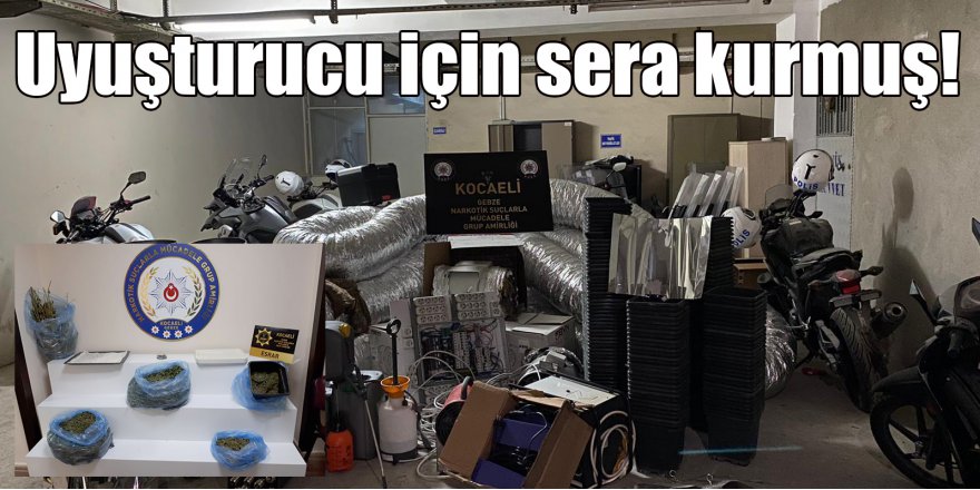 Uyuşturucu için sera kurmuş!