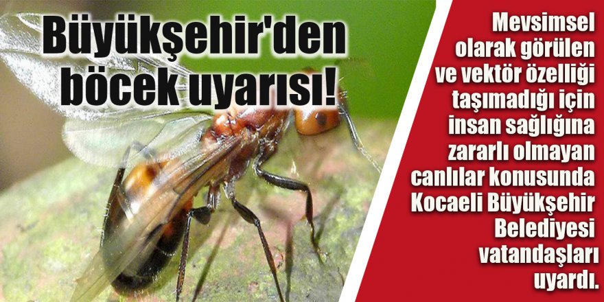 Büyükşehir'den böcek uyarısı!