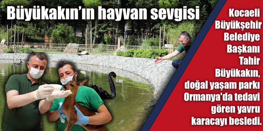 Büyükakın’ın hayvan sevgisi