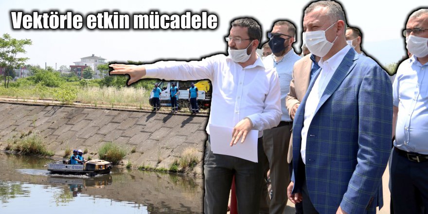 Vektörle etkin mücadele