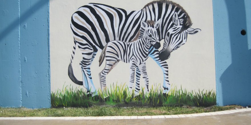 Darıca Sahil Parkı’na estetik dokunuş