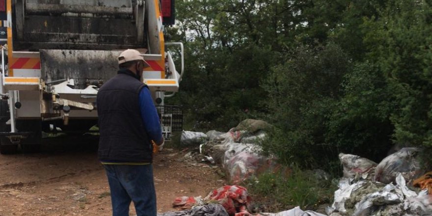 Dilovası’nda ormanlık alanlar temizlendi