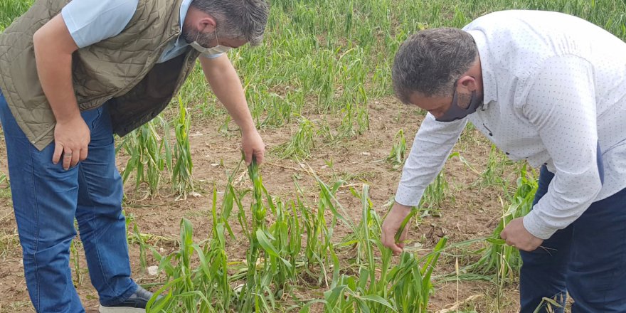 Dolu ve sel felaketi yaşanan noktalara inceleme