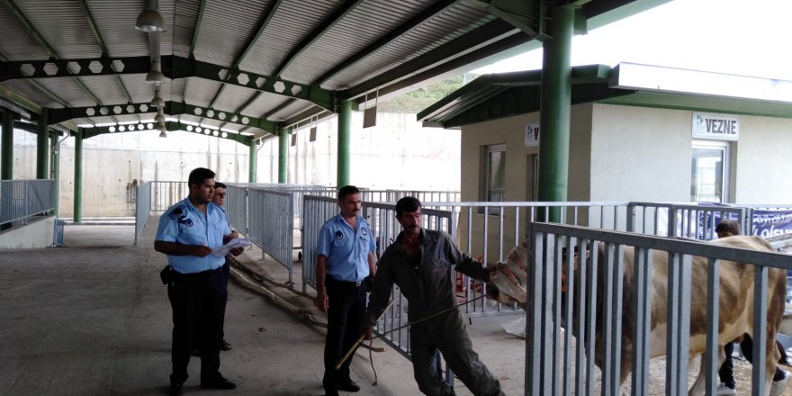 İzmit Belediyesi Modern Hayvan Pazarı Kurban Bayramı’na hazır