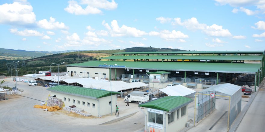 Modern Hayvan Pazarı’nda ön kayıtlar 1Temmuz’da başlıyor