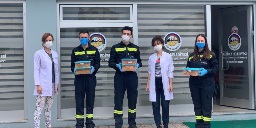 TÜPRAŞ'tan sokak hayvanlarına destek