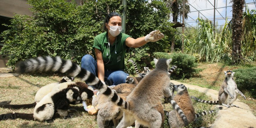 Hayvanat bahçesi ziyaretçilerini bekliyor