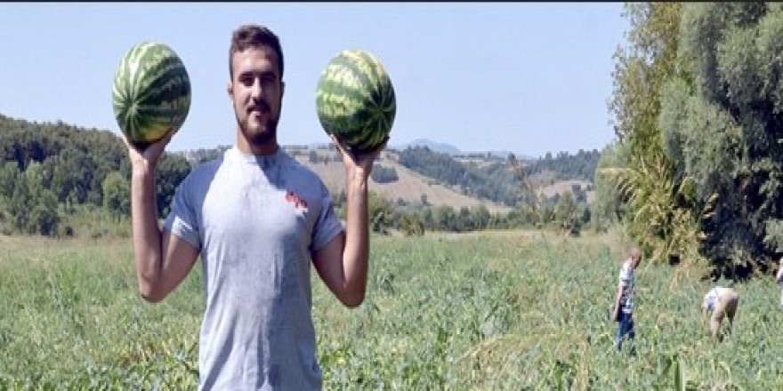 Genç güreşçi Kırkpınar'a tarlada hazırlanıyor