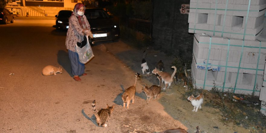 6 yıldır sokak hayvanlarının karnını doyuruyor