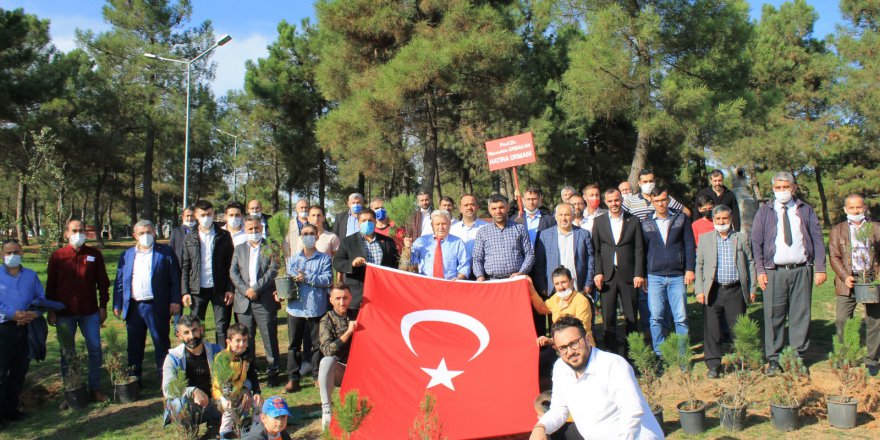 Erbakan Hatıra Ormanı Açıldı