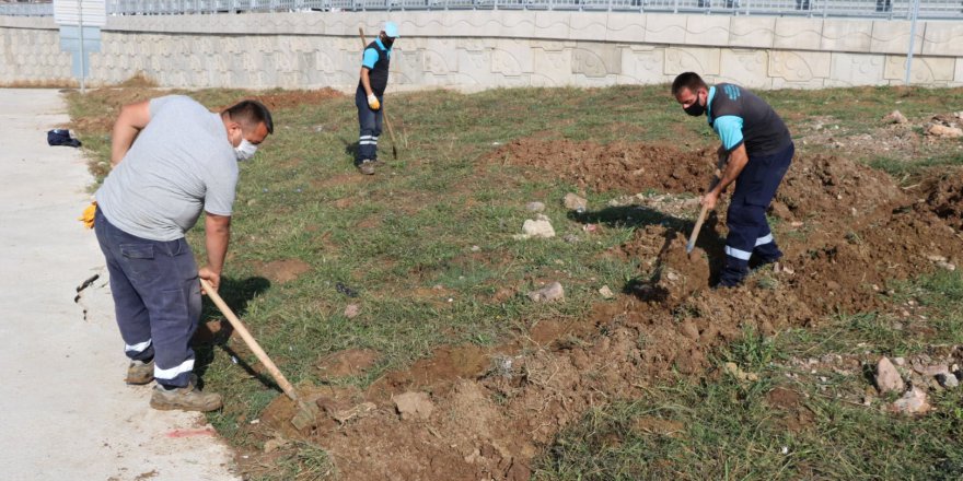 Bin ton temiz toprak serildi