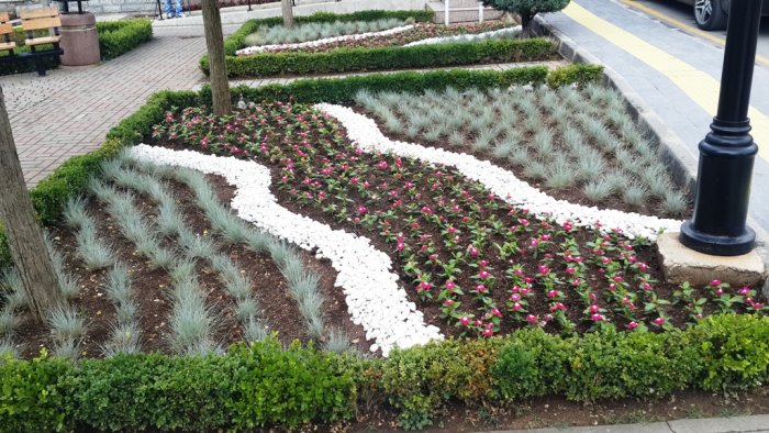 Belediye önü çiçekten caddeler ottan geçilmiyor