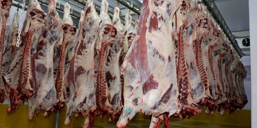 Dünya standartlarında Mezbaha