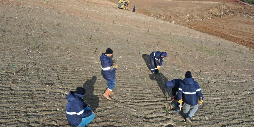 Dolgu alanından mesire alanına