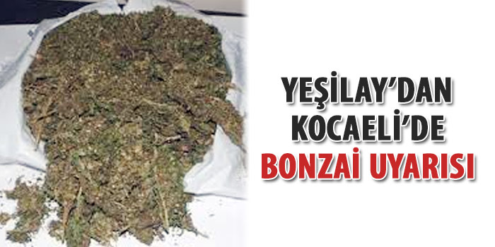 Yeşilay'dan Kocaeli'de bonzai uyarısı