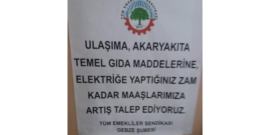 Emeklilerin sendikal mücadelesi yok sayılmaz