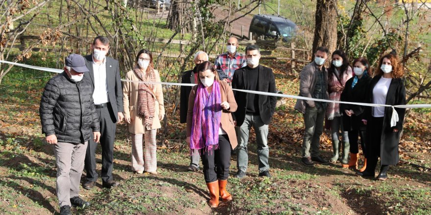 ‘Salep ve Ekinezya’ üretimiyle İzmit’e yeni marka kazandıracak