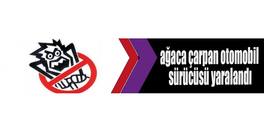 ağaca çarpan otomobil sürücüsü yaralandı